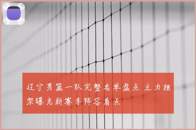 辽宁男篮一队完整名单盘点 主力框架曝光新赛季阵容看点