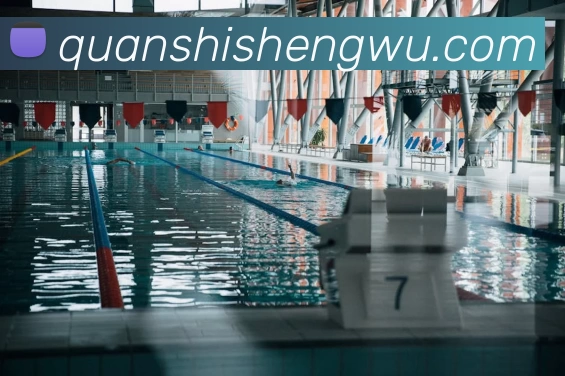 AOA网页版登录入口 - AOA(中国)服务体系