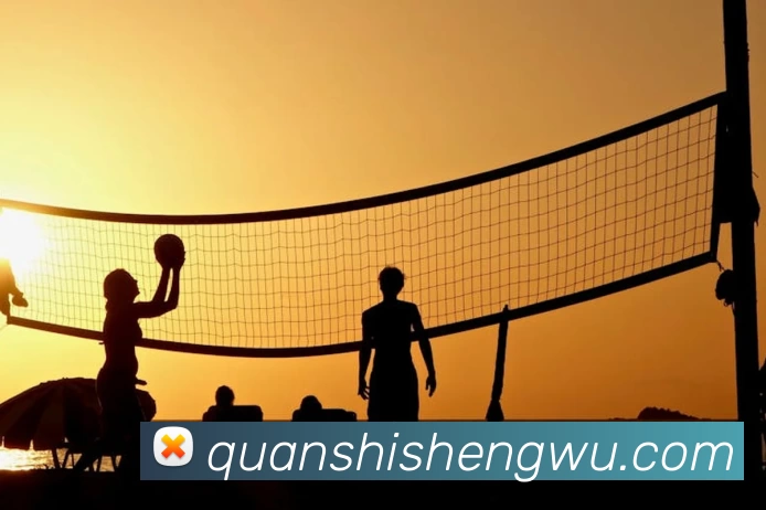 AOA网页版登录入口 - AOA(中国)APP 体育赛事宣传图